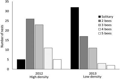 Competition Drives Group Formation and Reduces Within Nest Relatedness in a Facultatively Social Carpenter Bee